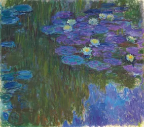 Blomstrende åkander